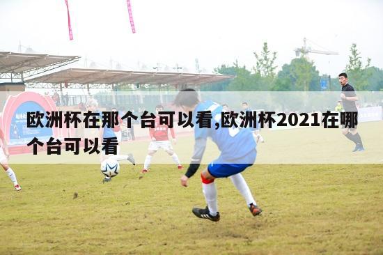 欧洲杯在那个台可以看,欧洲杯2021在哪个台可以看