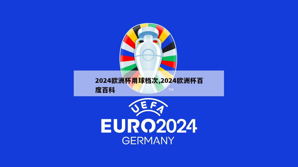 2024欧洲杯用球档次,2024欧洲杯百度百科